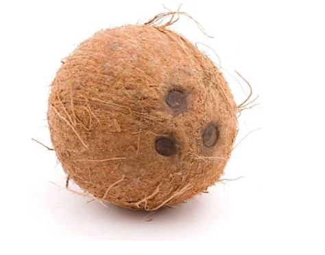 Coconut(Ball)