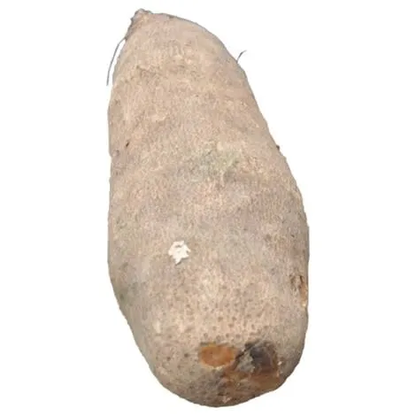 Yam(New)