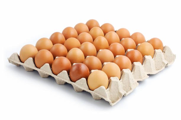 Egg-(crate)