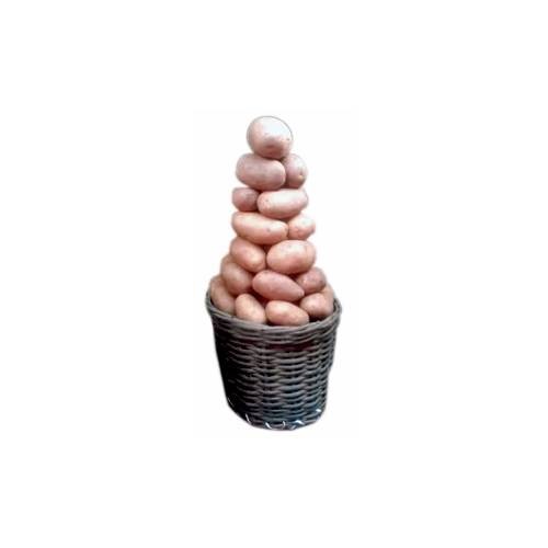 Irish Potato(Small Basket)