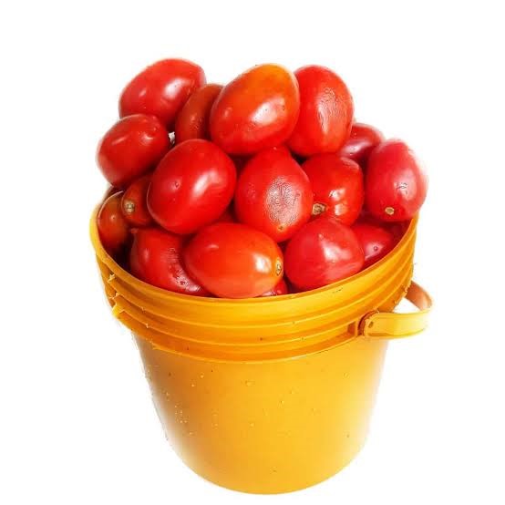 Fresh Tomatoes(Paint Bucket)